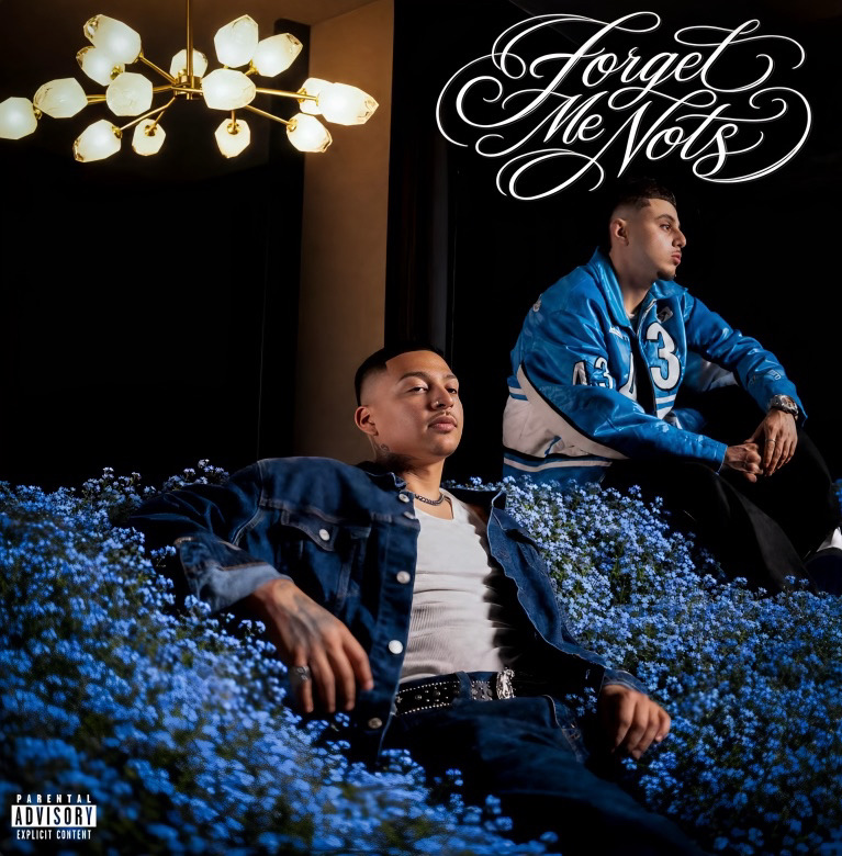 Forget Me Nots Artwork